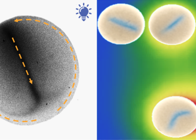 Tropfen mit Nanopartikeln, die sich organisieren und kommunizieren