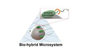 Bio-Hybrid Cell-Based Actuators for Microsystems