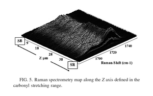 Cholesteric liquid crystals with a helical pitch gradient: Spatial distribution of the concentration of chiral groups by Raman mapping in relation with the optical response and the microstructure