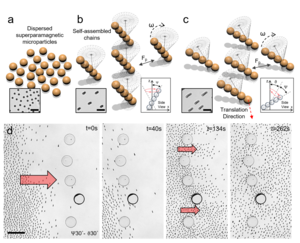  Programmable collective behavior in dynamically self-assembled mobile microrobotic swarms