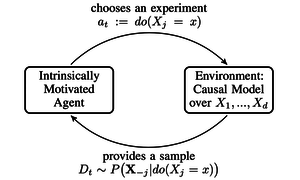 Optimal experimental design via Bayesian optimization: active causal structure learning for Gaussian process networks