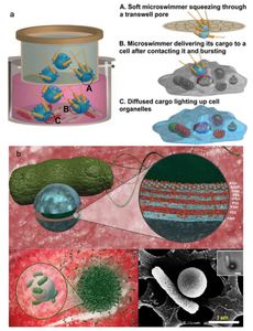 Micro-nanorobots: important considerations when developing novel drug delivery platforms