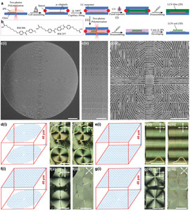 3D microstructures of liquid crystal networks with programmed voxelated director fields