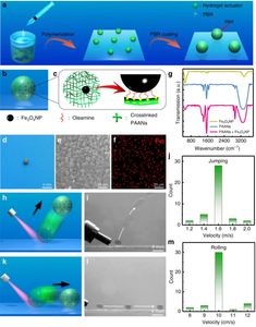 In-air fast response and high speed jumping and rolling of a light-driven hydrogel actuator