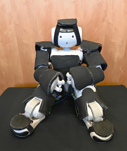 Do-It-Yourself Whole-Body Social-Touch Perception for a {NAO} Robot