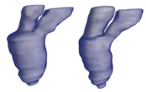 Automatic 4D Reconstruction of Patient-Specific Cardiac Mesh with 1- to-1 Vertex Correspondence from Segmented Contours Lines