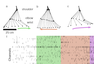 A framework for relating neural activity to freely moving behavior