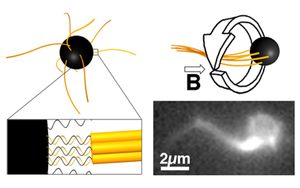 Magnetic Propulsion of Microswimmers with DNA-Based Flagellar Bundles