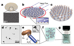 Hybrid nanocolloids with programmed three-dimensional shape and material composition