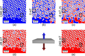 {Geometric control of the magnetization reversal in antidot lattices with perpendicular magnetic anisotropy}