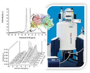 Absolute diffusion measurements of active enzyme solutions by NMR