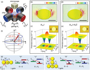 Multifarious transit gates for programmable delivery of bio‐functionalized matters