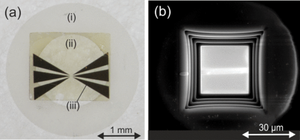 {Direct observation of coherent magnons with suboptical wavelengths in a single-crystalline ferrimagnetic insulator}