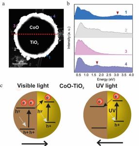 Multiwavelength-steerable visible-light-driven magnetic CoO-TiO2 microswimmers