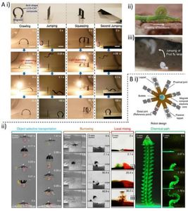 Cutting the cord: progress in untethered soft robotics and actuators